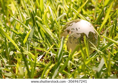 Glass globe on green grass - eco concept with copyspace