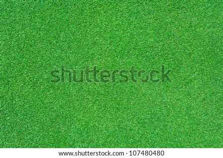 close up of bright green grass texture