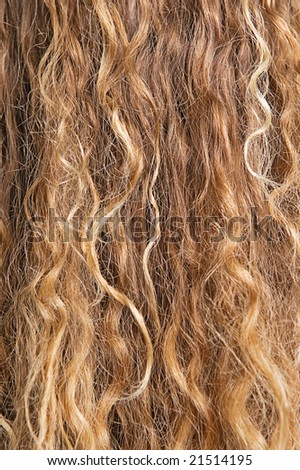 texture of long blond hair