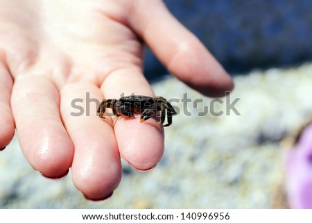 The small size of the crab sits on a finger