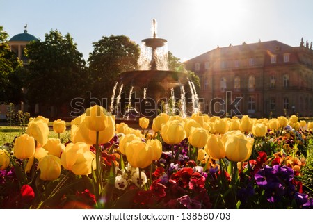 Lovely Picture of Flowers in front of a fountain on a warm morning in the Stuttgart Palace Park, Germany