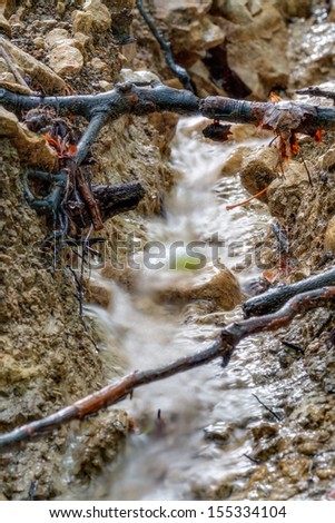 Forest Creek. Picture of a little Creek through the Forest in the woods of Bavaria
