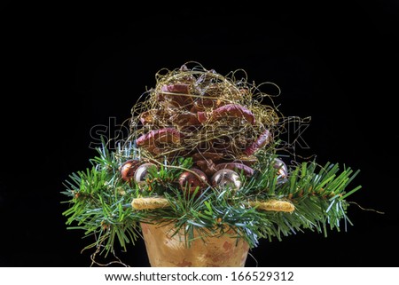 Isolated Christmas Flower Arrangement on a mono colored background