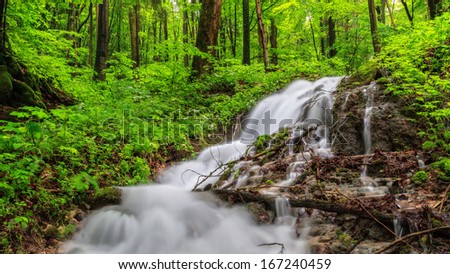Waterfall in a Spring Forest