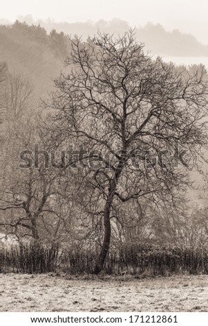 Rural Countryside in the Winter. Bavarian Hill Landscape. Hoar Frost on the Ground. Cold January. Barren Trees.