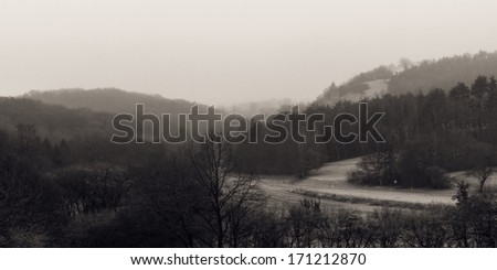 Vintage Bavarian Rural Countryside Hill Landscape. Black and White and grainy. Winter Forest in January. Cold Morning with Hoar Frost and Low stratus