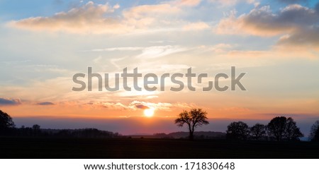 Bavarian Sunset Panorama. Lonely Silhouette of a tree in the setting sun. Clouds in the Sky. Colorful Sun and Fall Colors.