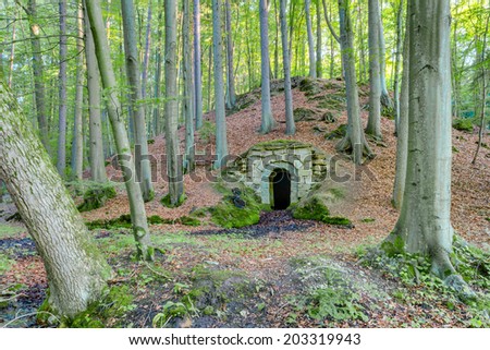 Enchanted Magical Forrest. Dungeon Entrance in the Woods. Old Franconian Wine Cellar in Germany, shot on a summer evening