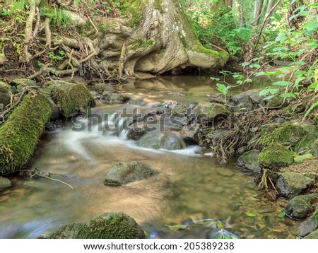Picturesque Bavarian Summer Forrest Creek. Shot in the Woods of Upper Franconia, Germany. Green Foliage on a trecking trail through rocky terrain
