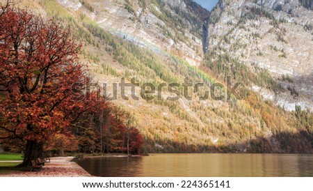 Autumn Rainbow at the Sea of Kings in Bavaria. Lovely Autumn Picture with colorful red fall trees from the Alps in Bavaria, Germany