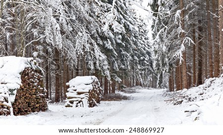 Cold snowy winter wonderland in the Black Forrest Region of Germany. Sweet Solitude. White and Lonely Landscape