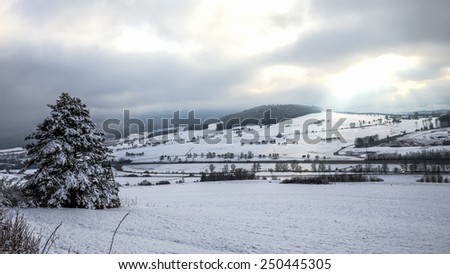 Cold snowy winter wonderland in the Black Forrest Region of Germany. Sweet Solitude. White and Lonely Landscape