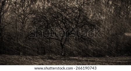 Storm Niklas in Northern Franconia, Bavaria in Germany. Spring Thunderstorm with Hail and Snow in March 2015