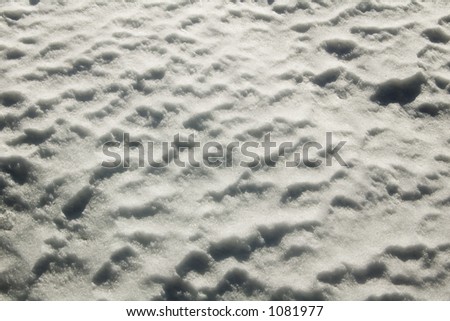 Snow surface close-up