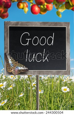 Blank chalkboard on a meadow with text Good luck