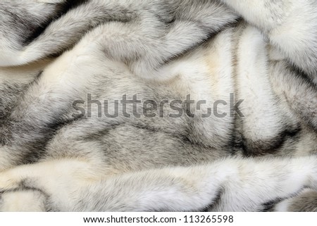 White fur mink background texture