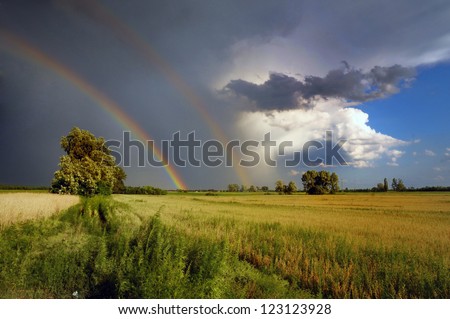 double rainbow in the stormy dark skyand a lone tree in nature and a lone tree in nature