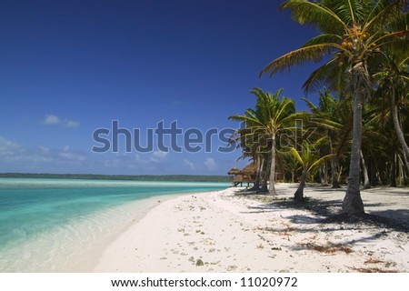 Tropical Dream Beach Paradise of the South Pacific
