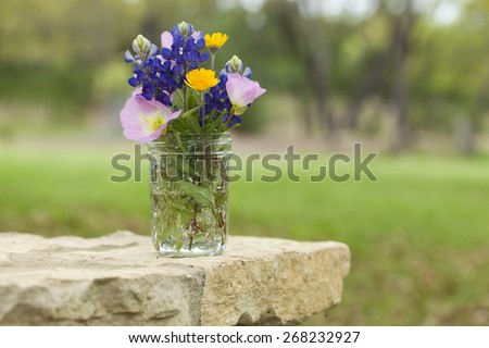 A bouquet of Texas wildflowers from the Texas Hill Country in a mason jar on a stone wall. Evening primroses, bluebonnets and yellow daisies.