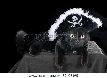 Black Cat in the Hat pirate on a dark background