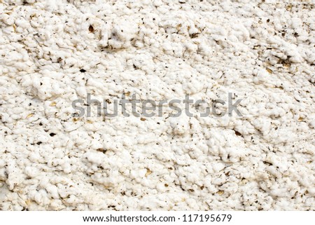 Background of raw cotton