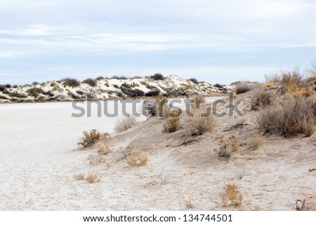 Beach dry lake in the desert. White Sands National Monument, New Mexico