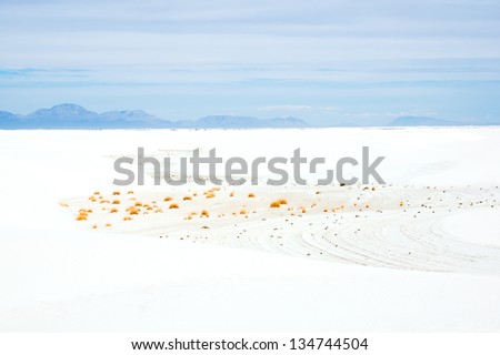 Desert landscape with white sand dunes. White Sands National Monument, New Mexico