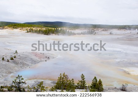 Steaming lake and colorful thermophilic organisms in the streams of hot water.  Norris Geyser Basin, Yellowstone National Park USA