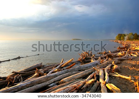 Evening sea landscape with logs in the foreground
