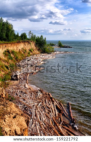 Wild Nature Seaside Landscape with Old Logs in the Water