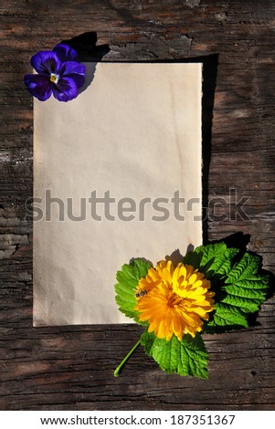 Vintage Empty Paper with Flower on an Old Wooden Wall Background