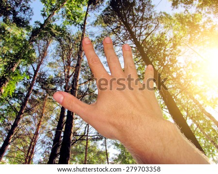 Human hand stretch to the sky in the forest