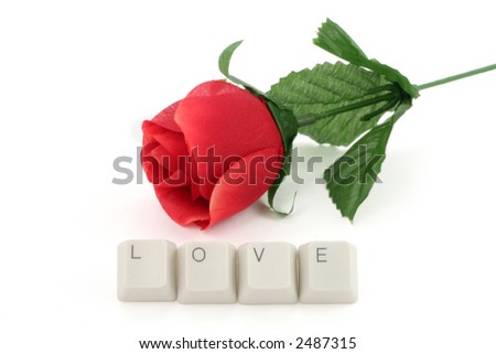 artificial red rose and computer keys with white background