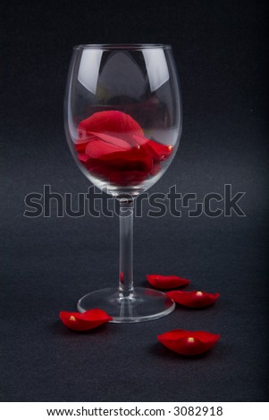 rose petals in a wine glass with black background, love concept