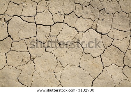 dry mud field for background