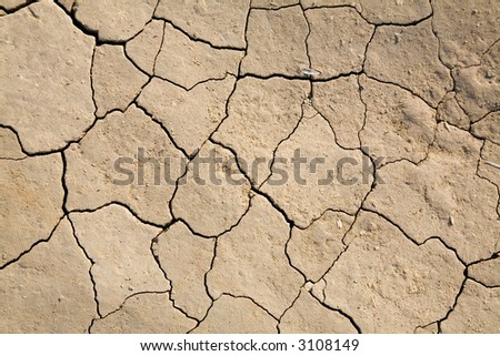 dry mud field for background