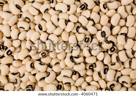 black eye beans close up shot for background