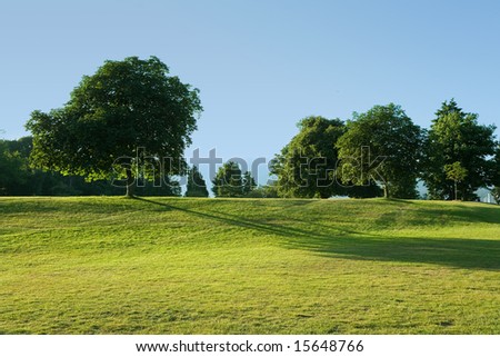 Green Lawn and tree for background