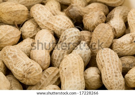 Peanuts for background, close up