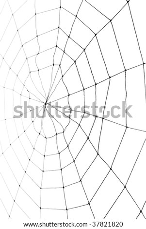 Spider Web for background use