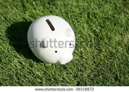 Piggy Bank and green grass, concept of financial success and Environmental Conservation
