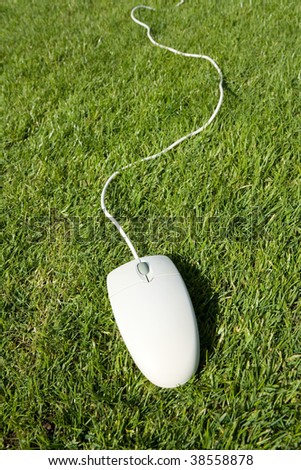 Computer Mouse and lawn, concept of Freedom, Environment Protection