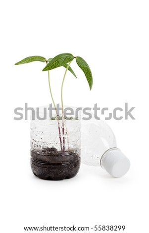 plastic bottle and Sprout with white background