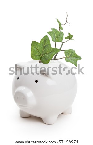 Piggy bank and plant with white background