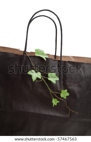 Black paper shopping bag and plant with white background