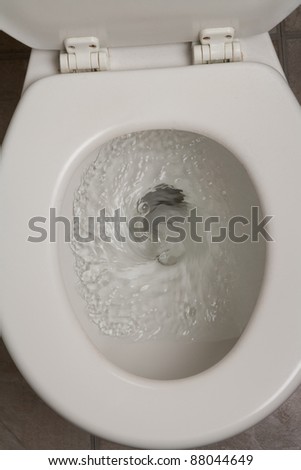 Hand Flushing Toilet