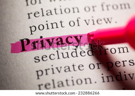 Fake Dictionary, definition of the word Privacy.