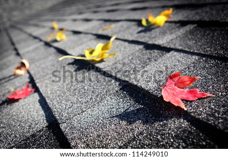 Autumn leaves on a roof