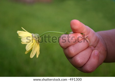 toddler\'s hand holding flower