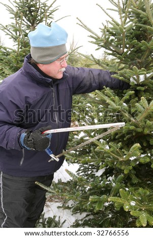 Man cutting a Christmas Tree at a tree farm